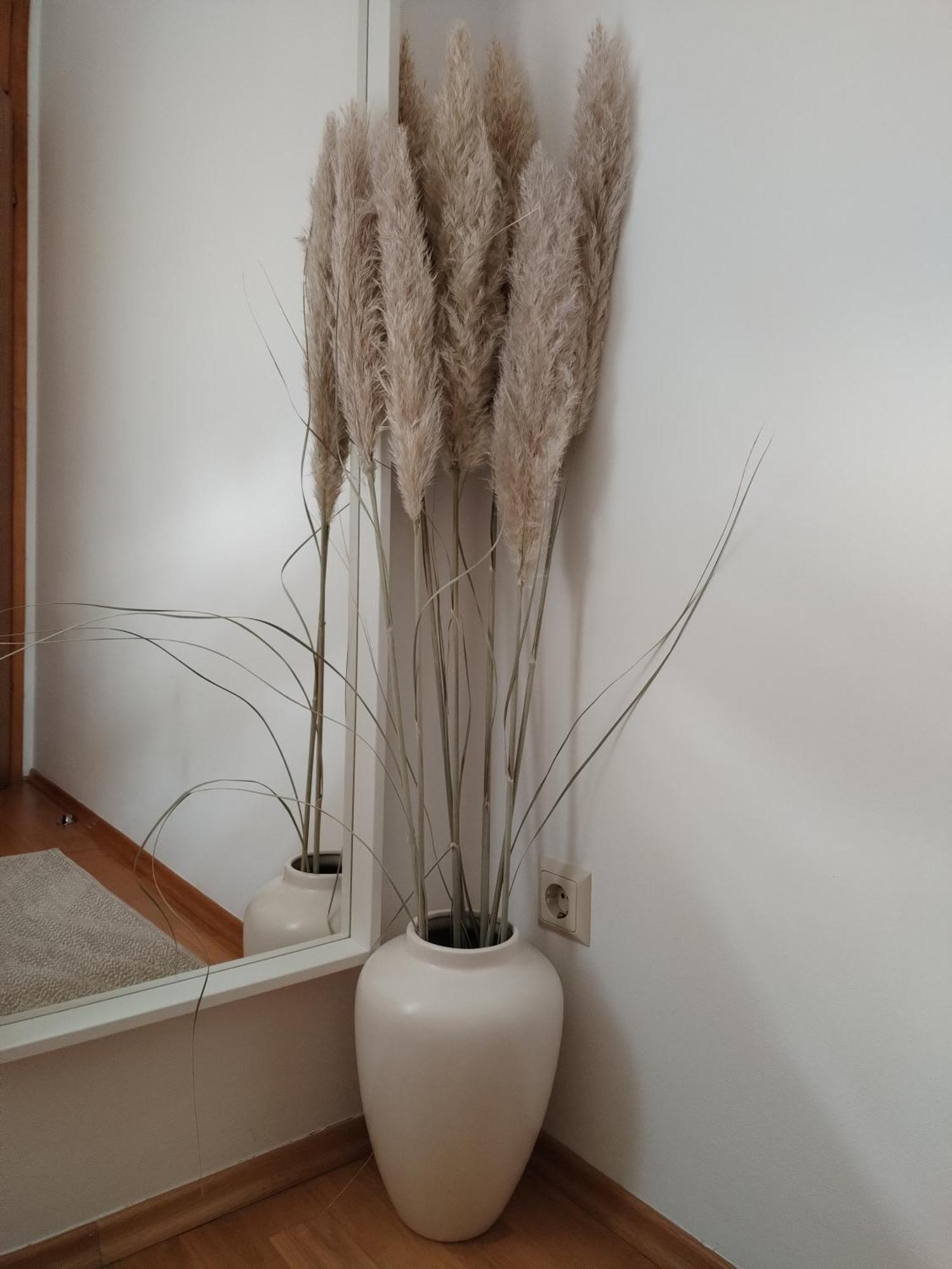 Ivana Apartman